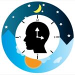 circadian rhythm